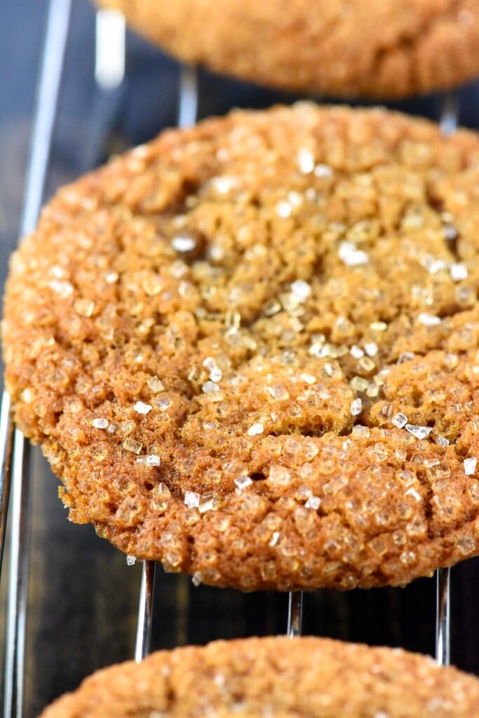 Close-up of Ginger Cookies coated with sparkling sugar.