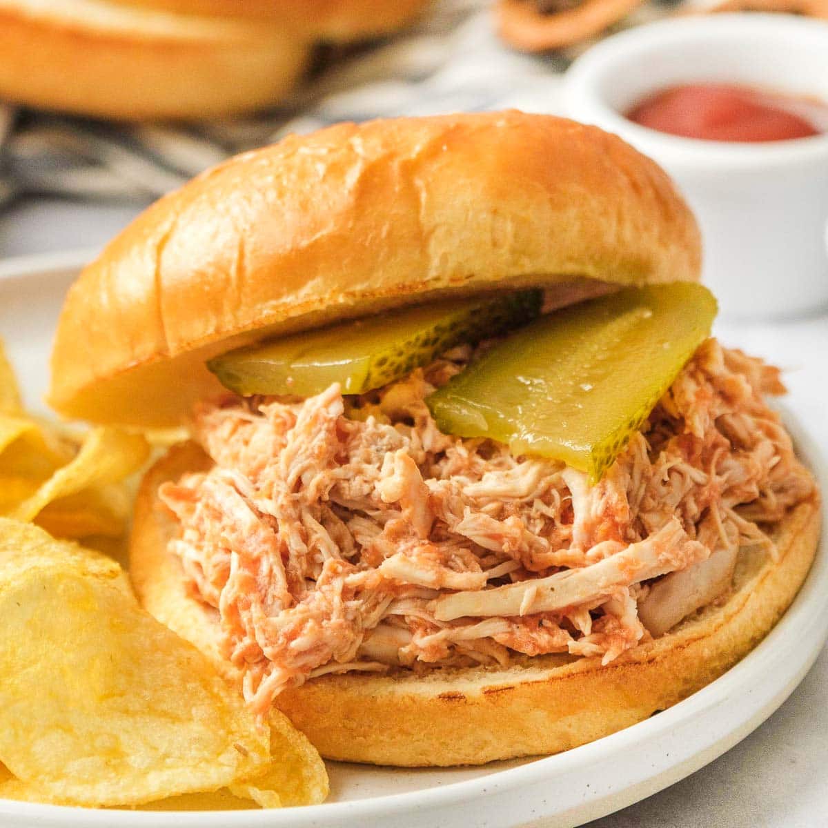 Close-up of Chicken Sloppy Joes sandwich on plate.