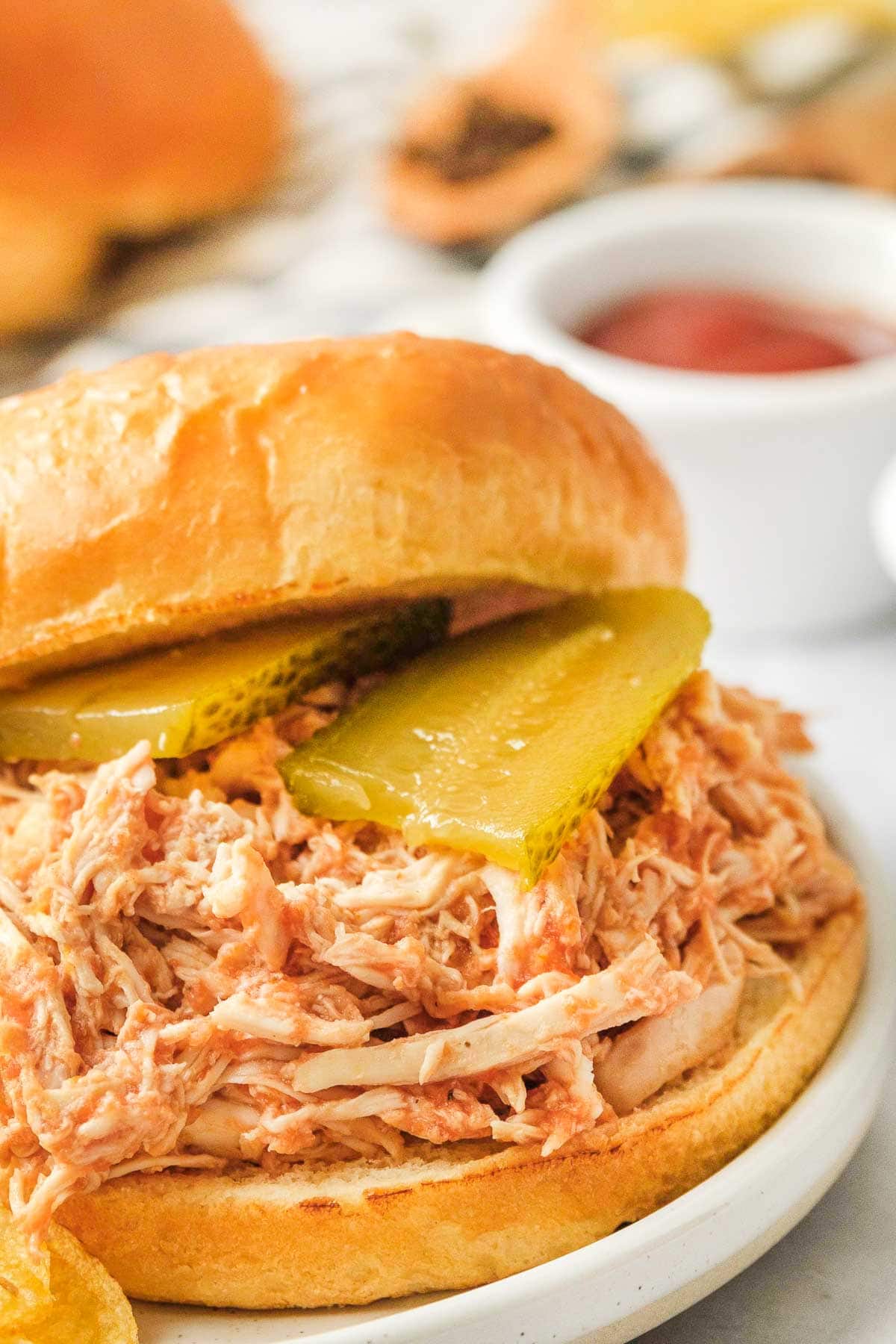 Close-up of Chicken Sloppy Joe on bun.