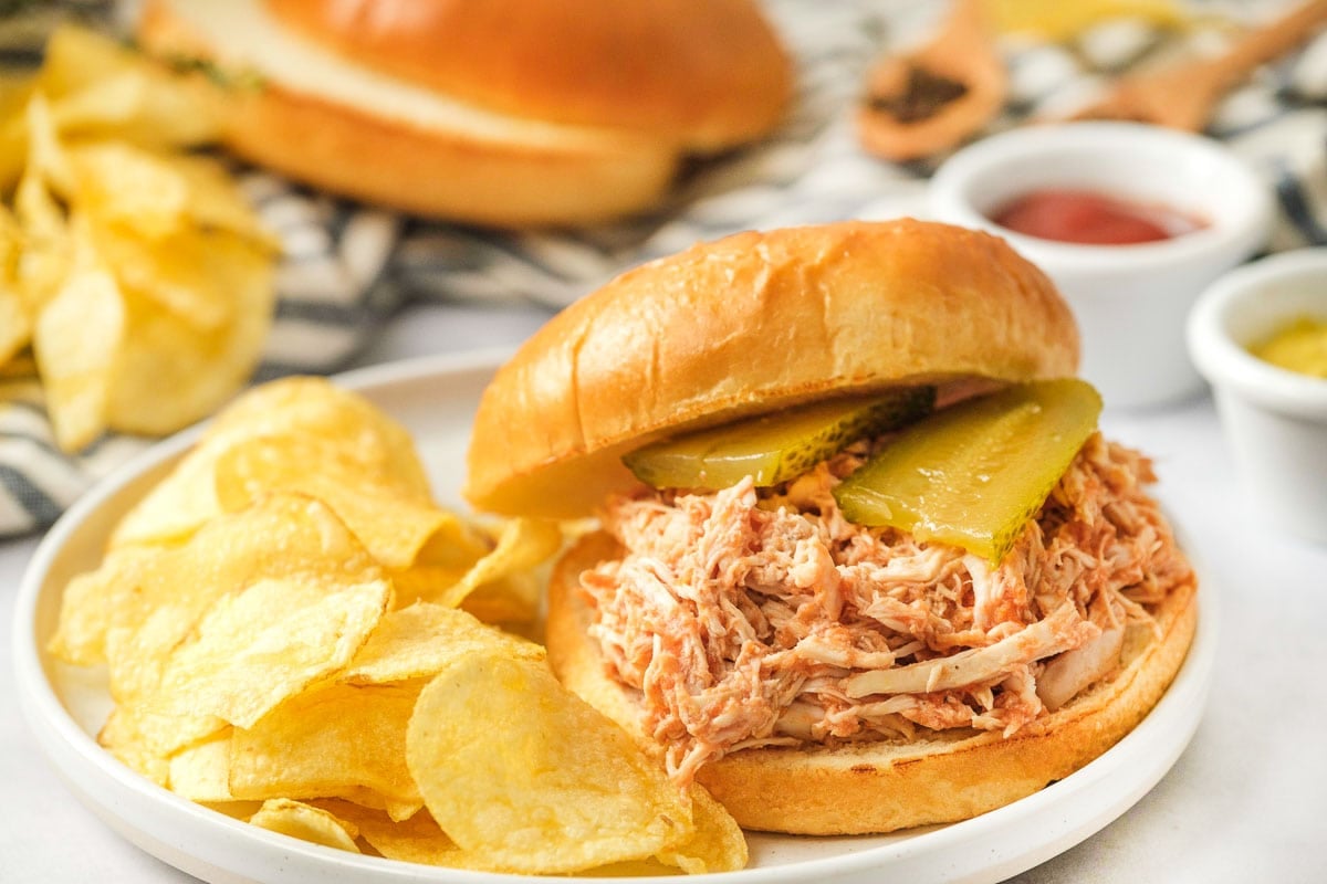 Chicken Sloppy Joes with potato chips.