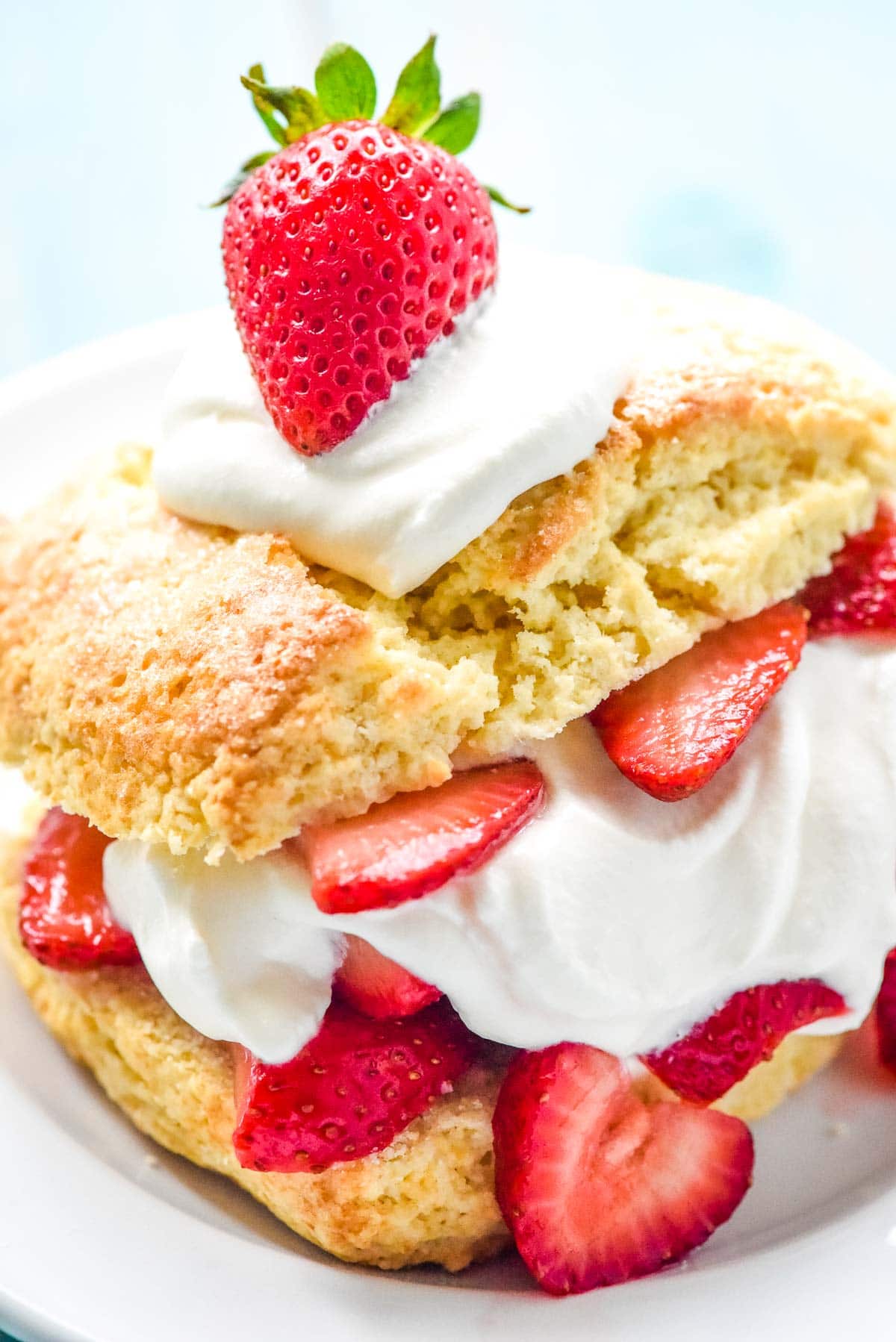 Close-up of Strawberry Shortcake.