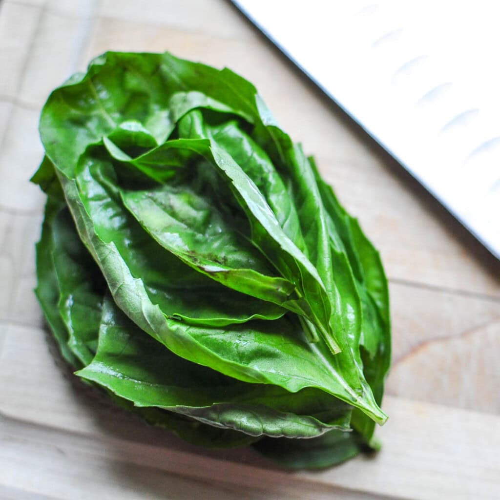 Basil leaves stacked in pile.