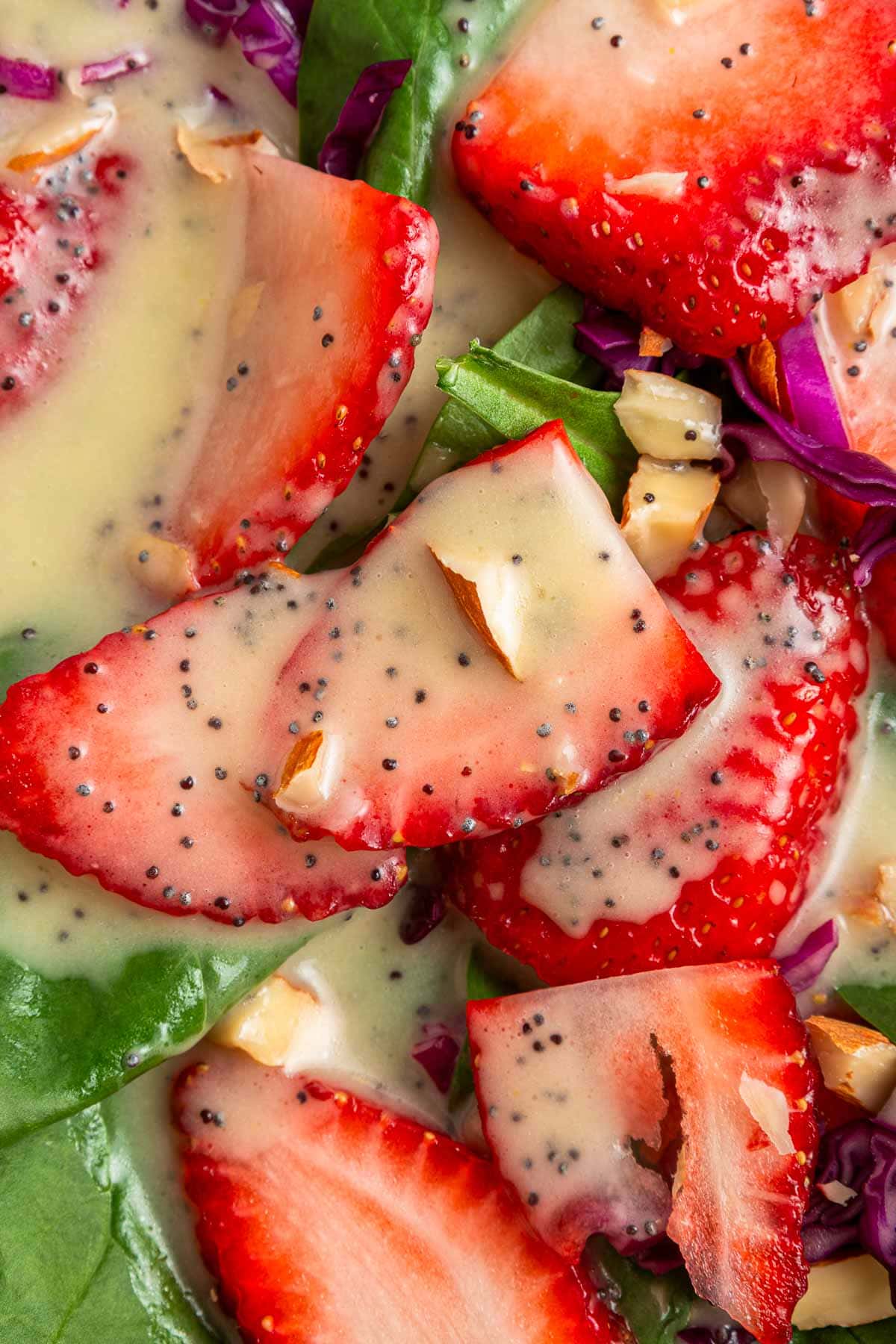 Poppy Seed Dressing on salad aerial view close-up.