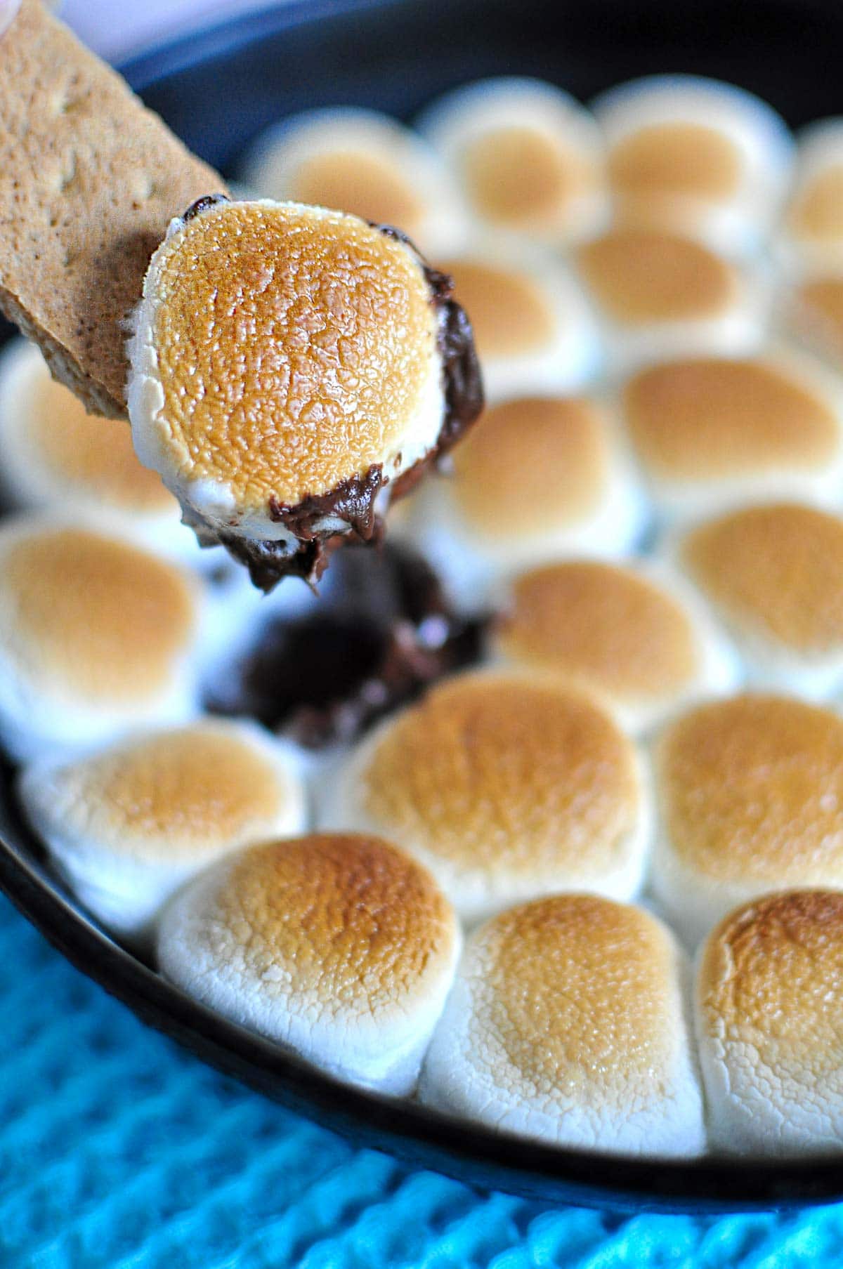 S'mores Dip on graham cracker.