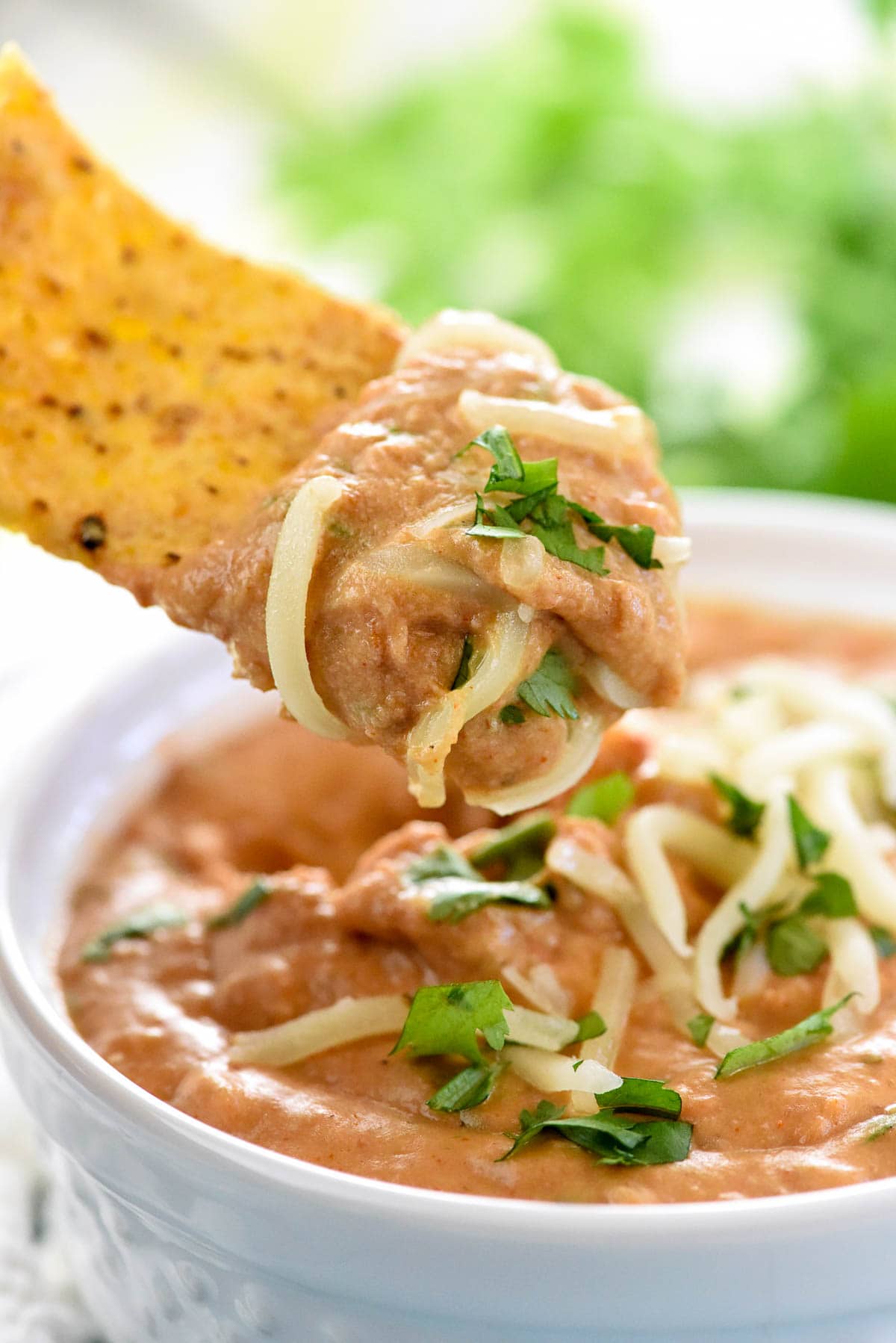 Bean Dip dipped up by tortilla chip.