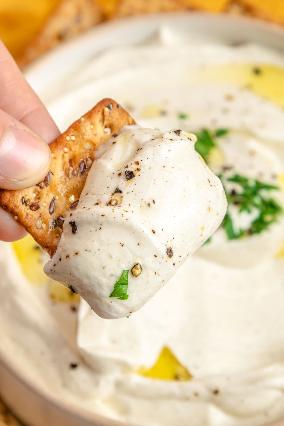 One of the easiest Cream Cheese Dip recipes on a cracker zoomed in.