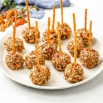 Mini Cheese Balls on white plate with blue cheese, cranberry, pecan, and pretzel sticks.