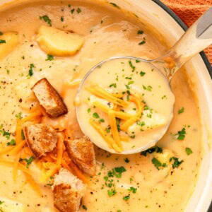 Cheesy Potato Soup aerial view with ladle and garnishes.