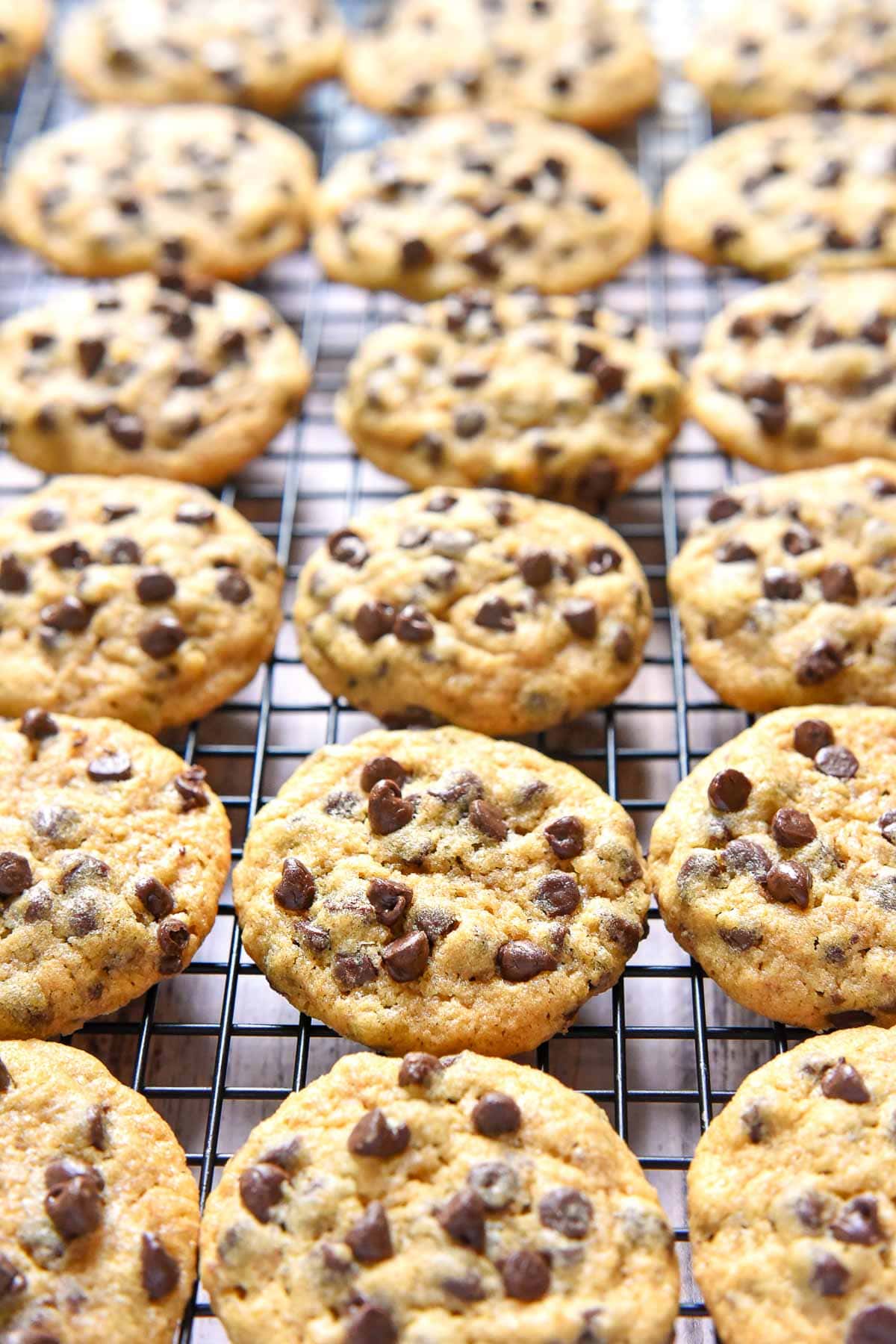 Whole Wheat Chocolate Chip Cookies on rack.