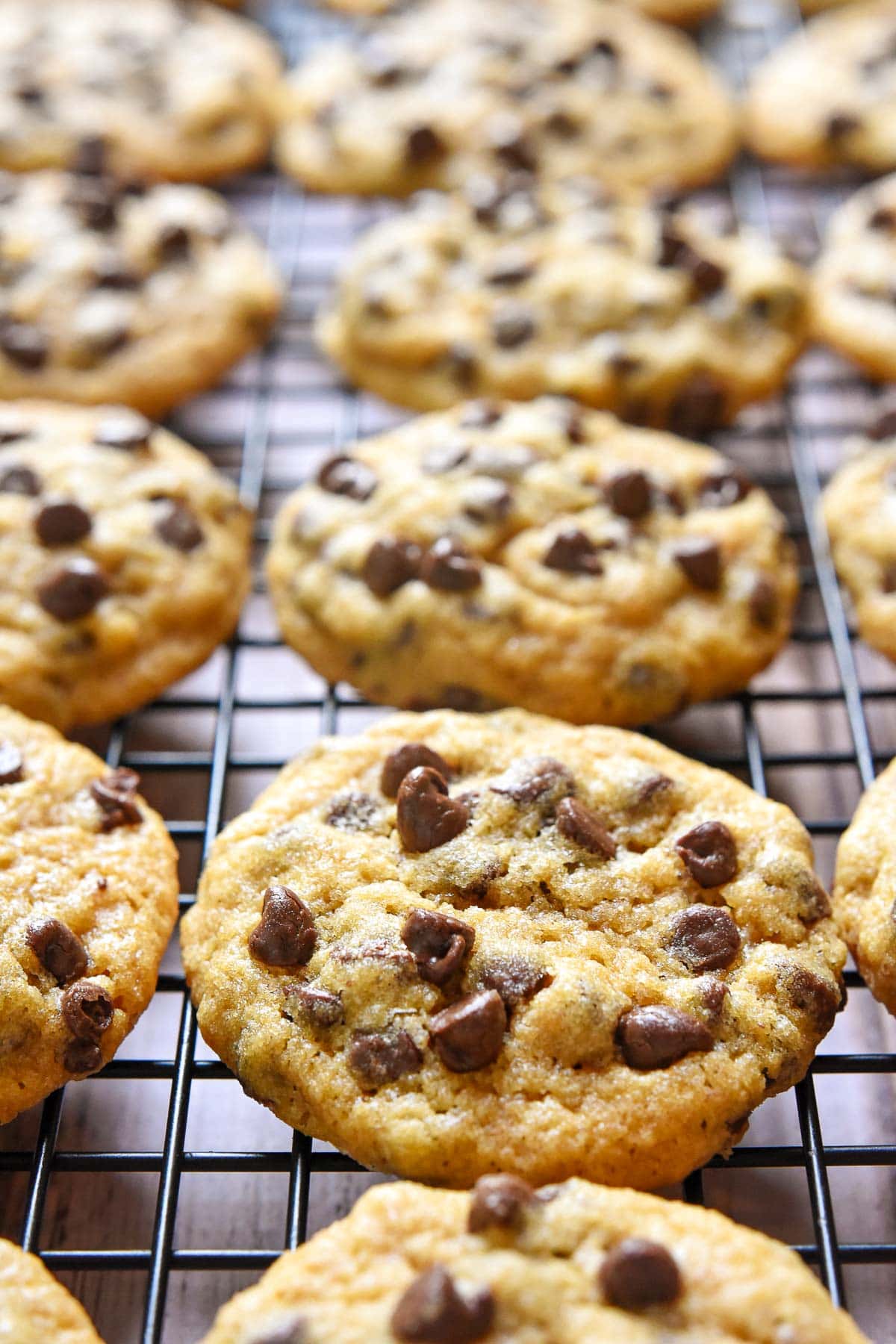 Whole Wheat Chocolate Chip Cookies on wire cooling rack.