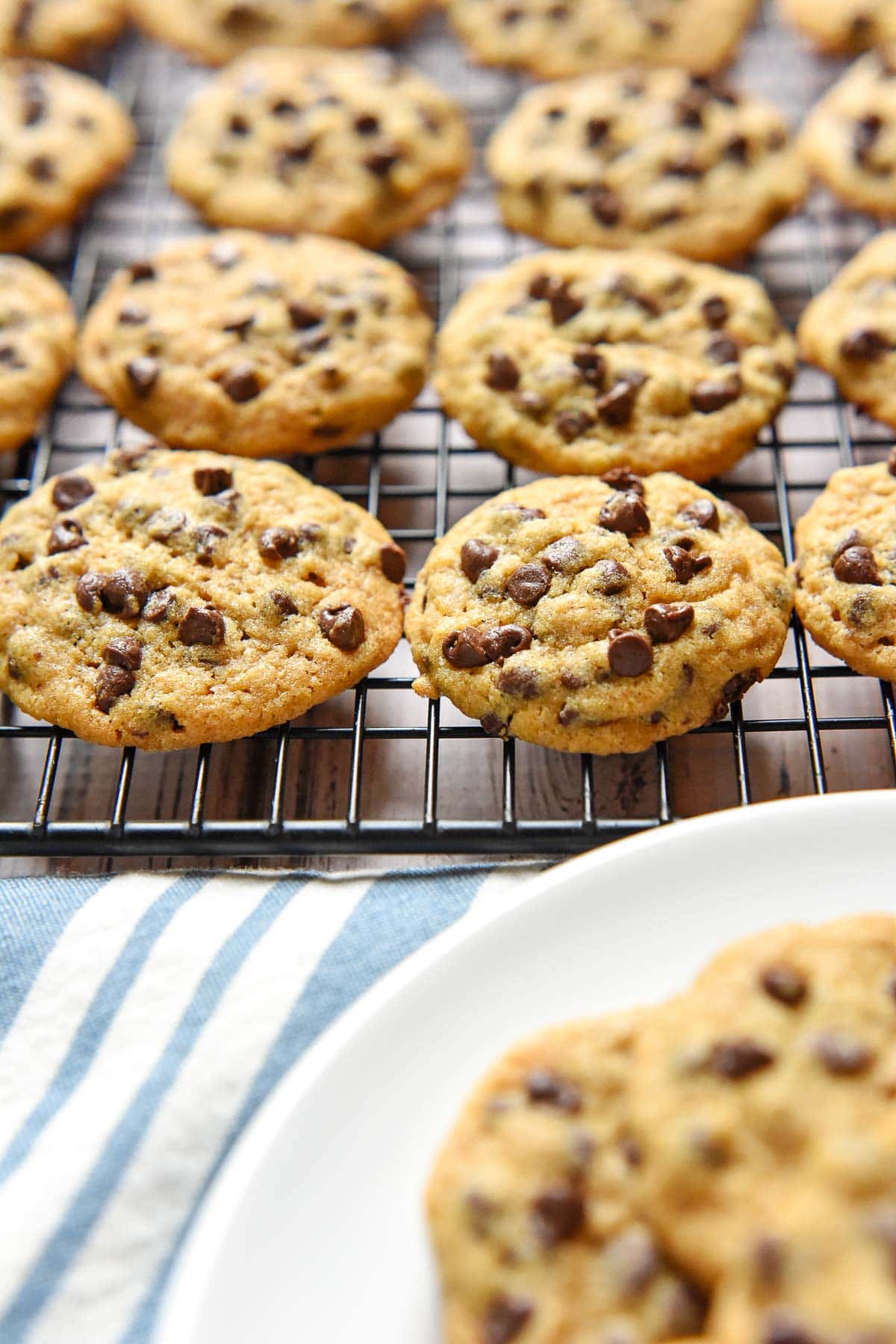 Whole Wheat Chocolate Chip Cookies on rack with plate.